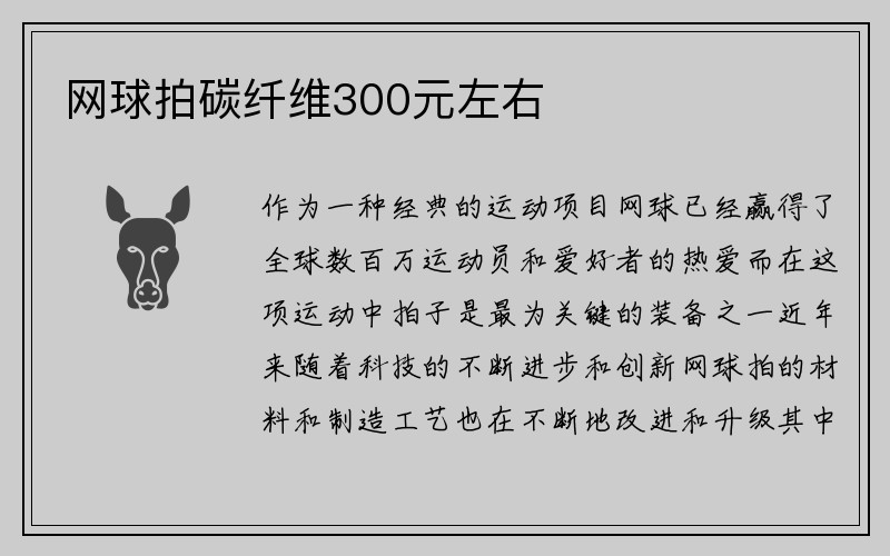 网球拍碳纤维300元左右