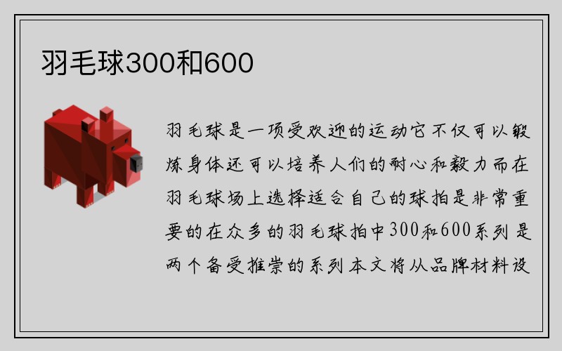 羽毛球300和600