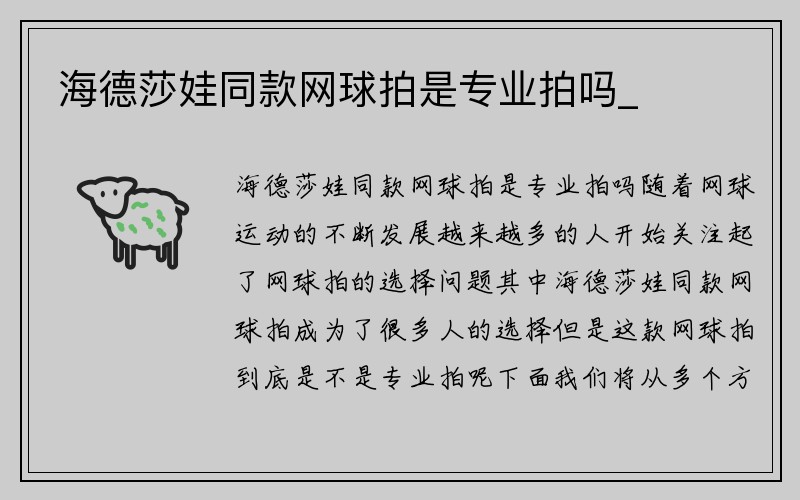 海德莎娃同款网球拍是专业拍吗_